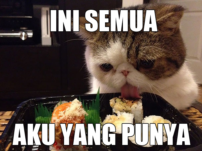 kucing-makan-sushi