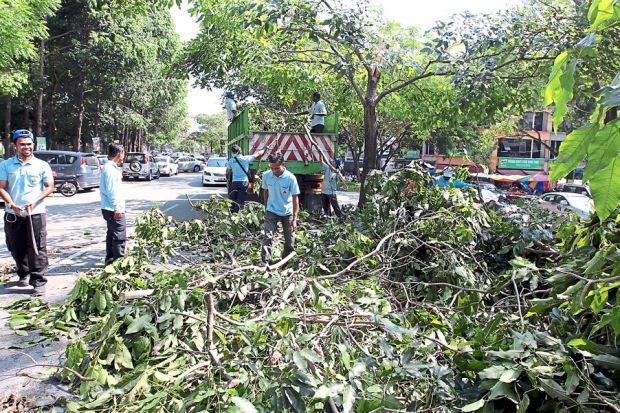 Pekerja DBKL membersihkan pokok-pokok jatuh selepas ribut di Kepong. Gambar dari The Star.