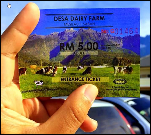 Desa Cattle Dairy Farm Kundasang- New Zealand!
