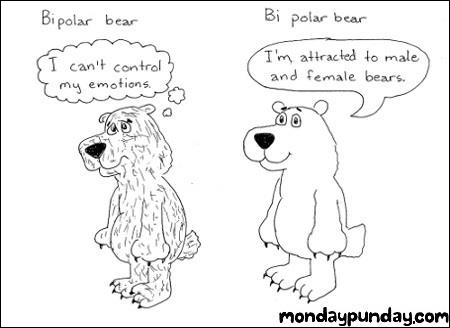 Beruang dua polar.