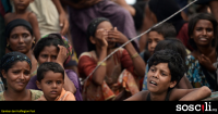 Genocide terhadap etnik Rohingya dah sampai ke tahap-4! Apa sebab disebalik konflik ini?