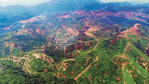 6 banjir besar di Malaysia, punca semula jadi atau perbuatan manusia