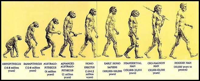 ibnu-khaldun-dah-tulis-tentang-evolusi-manusia-sebelum-darwin-lahir