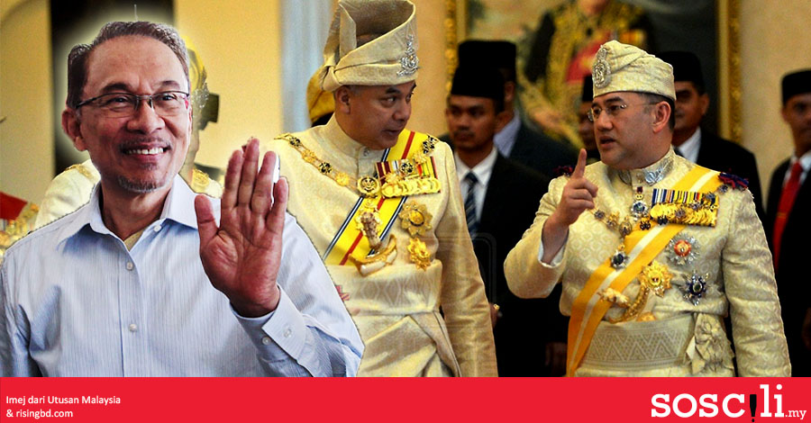 Anwar Dapat Pengampunan Diraja Apa Dia Pengampunan Ni Sebenarnya Soscili