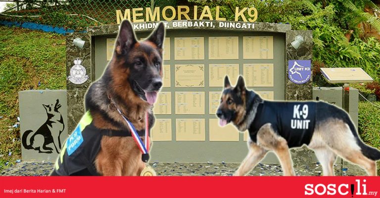 Unit K9: Anjing Pengesan PDRM Yang Mengesan Apa Yang Manusia Tak Mampu ...