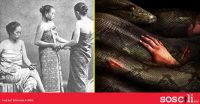 Bunuh ular ketika hamil. Kisah ‘sumpahan’ kenan dalam masyarakat Melayu