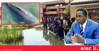 Kenapa pelajar uni dan Presiden Zambia berkabung kerana seekor ikan yang mati?