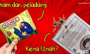 Korang Pernah Terfikir Tak Pembayang Dalam Pantun Sebenarnya Ada Makna Tersendiri Soscili