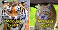 Harimau Malaya bakal gagal layak ke Piala Asia 2023?