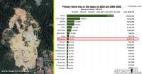 Malaysia tersenarai dalam kemusnahan hutan & pokok terbanyak di dunia?