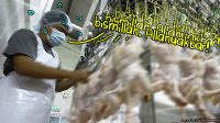 Betul ke ayam ni tak sembelih? Kami tanya JAKIM