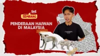 [SosSembang] Penderaan Haiwan di Malaysia