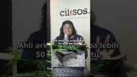 [CiliCepat] Sejarah kuno Kedah Tua