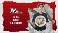 [CiliCepat] Ikan bagi kanser!?