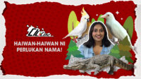 [CiliCepat] Haiwan – Haiwan Ni Perlukan Nama!