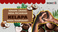 [INFOGRAFIK] Kenapa orang India pecahkan kelapa masa Thaipusam?